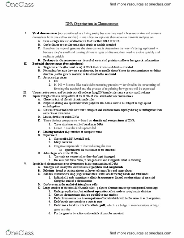 HONR 1034 Chapter Notes - Chapter 12: Polytene Chromosome, Karyotype, Dna Supercoil thumbnail