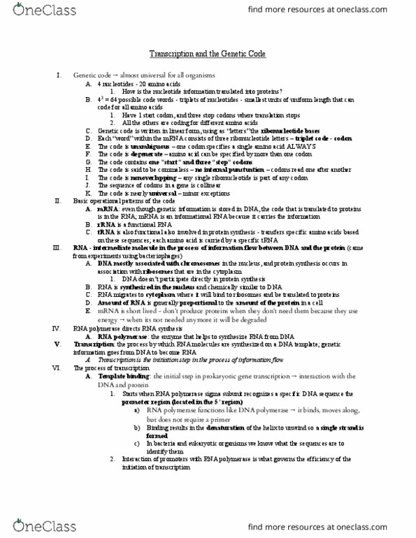 HONR 1034 Chapter Notes - Chapter 13: Genetic Code, Start Codon, Ribonucleotide thumbnail