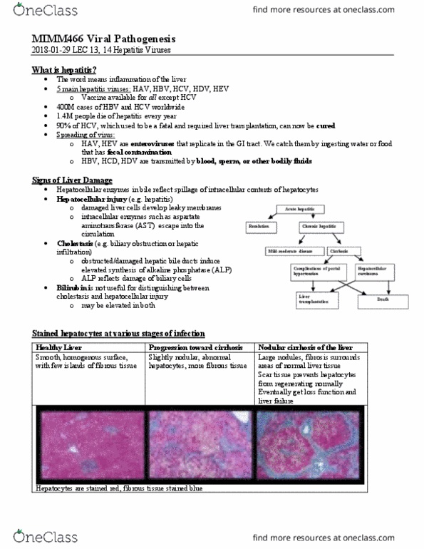 ORGB 423 Lecture Notes - Lecture 13: Viral Hepatitis, Hdv, Alkaline Phosphatase thumbnail