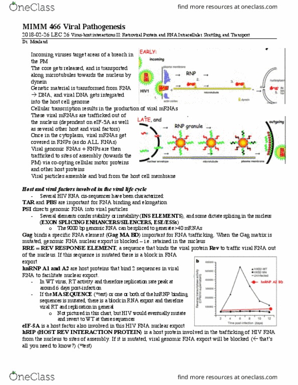 ORGB 423 Lecture Notes - Lecture 26: Eif5A, Cis-Regulatory Element, Retrovirus thumbnail