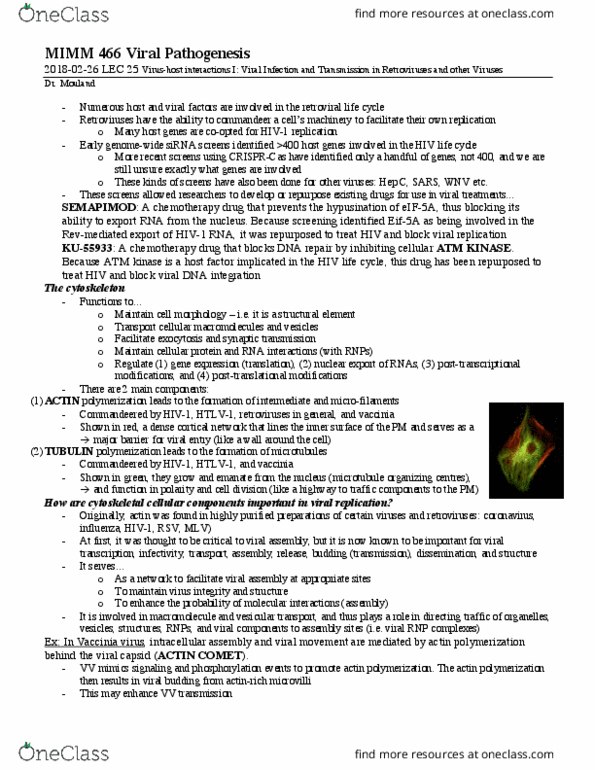 ORGB 423 Lecture Notes - Lecture 26: Vaccinia, Virus, Eif5A thumbnail