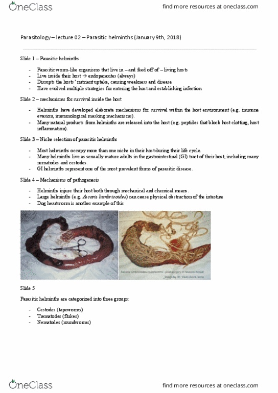 PARA 410 Lecture Notes - Lecture 2: Hymenolepis Diminuta, Hymenolepis Nana, Taenia Saginata thumbnail