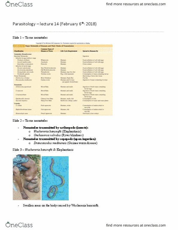 PARA 410 Lecture Notes - Lecture 14: Wuchereria Bancrofti, Brugia Timori, Brugia Malayi thumbnail