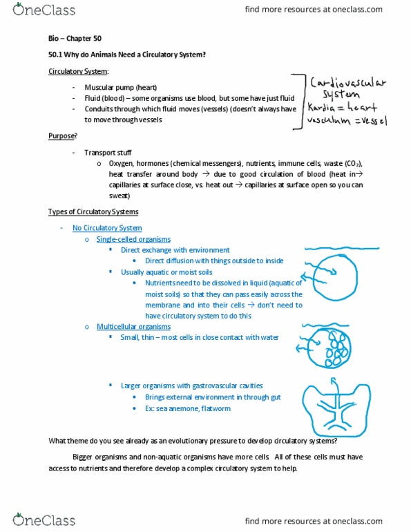 BIO 012 Lecture Notes - Lecture 21: Sea Anemone, Capillary, Osmotic Pressure thumbnail