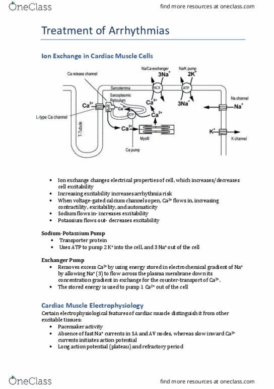 CAM201 Lecture Notes - Lecture 3: Atrioventricular Node, Depolarization, Electrochemical Gradient thumbnail