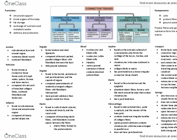 document preview image