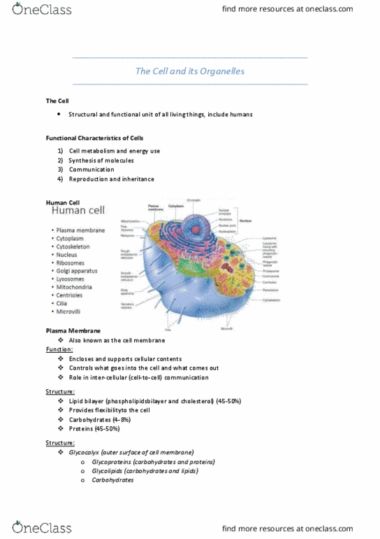 HUMB1000 Lecture Notes - Lecture 2: Camillo Golgi, Golgi Apparatus, Lipid Bilayer thumbnail