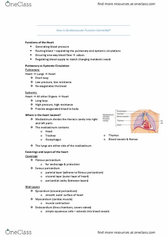 HUMB1001 Lecture Notes - Lecture 4: Pericardium, Coronary Sinus, Coronary Circulation thumbnail