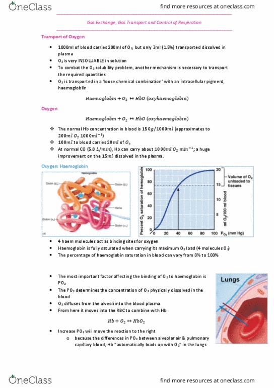 HUMB1001 Lecture Notes - Lecture 8: Hemoglobin, Blood Plasma, Heme thumbnail