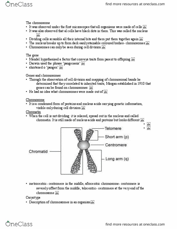 BIOL1003 Lecture Notes - Lecture 10: Centromere, Pangenesis, Afrocentrism thumbnail