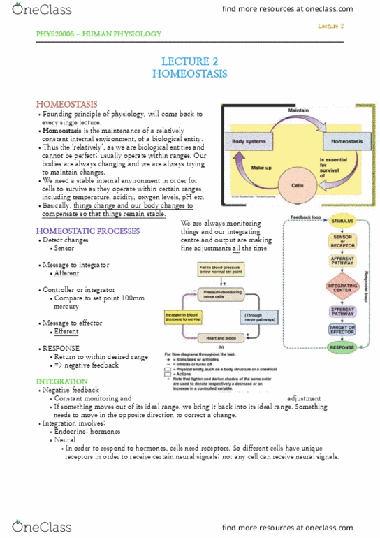 PHYS20008 Lecture Notes - Lecture 2: Osmotic Concentration, Homeostasis, Extracellular Fluid thumbnail