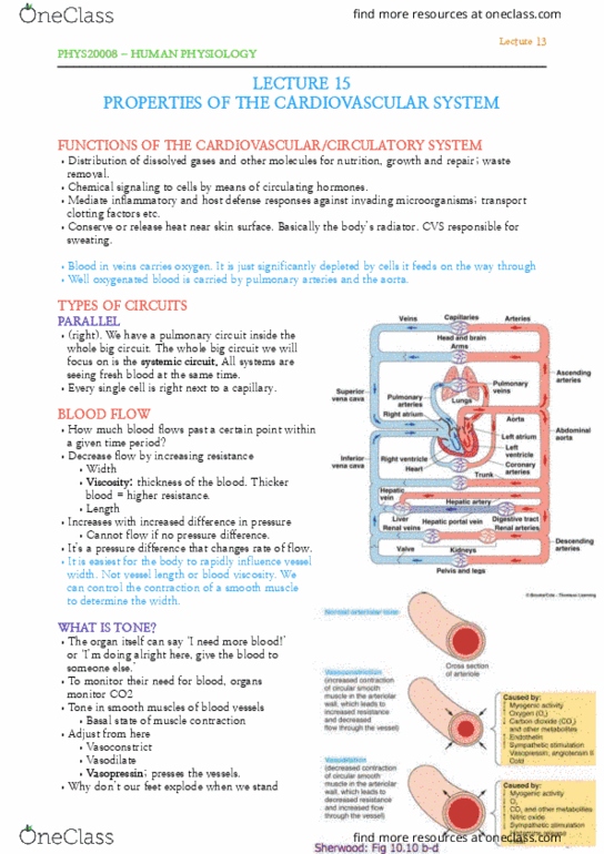 PHYS20008 Lecture Notes - Lecture 15: Pulmonary Circulation, Pulmonary Artery, Blood Vessel thumbnail