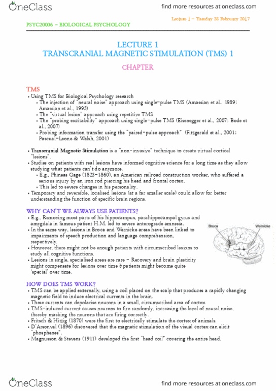 PSYC20006 Lecture Notes - Lecture 1: Transcranial Magnetic Stimulation, Parahippocampal Gyrus, Phineas Gage thumbnail