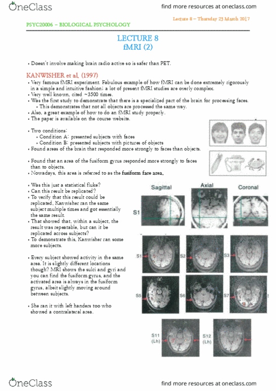 PSYC20006 Lecture 8: Lecture 8 - fMRI (2) thumbnail