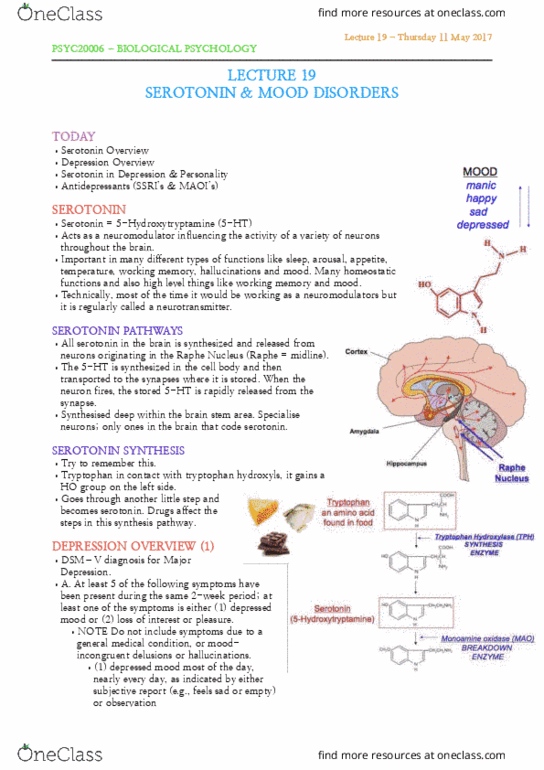 PSYC20006 Lecture Notes - Lecture 19: Neuromodulation, Tryptophan, Brainstem thumbnail