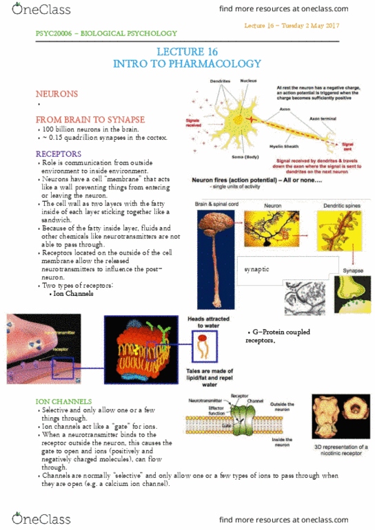 PSYC20006 Lecture Notes - Lecture 16: G Protein–Coupled Receptor, Pharmacology, Acetylcholine thumbnail