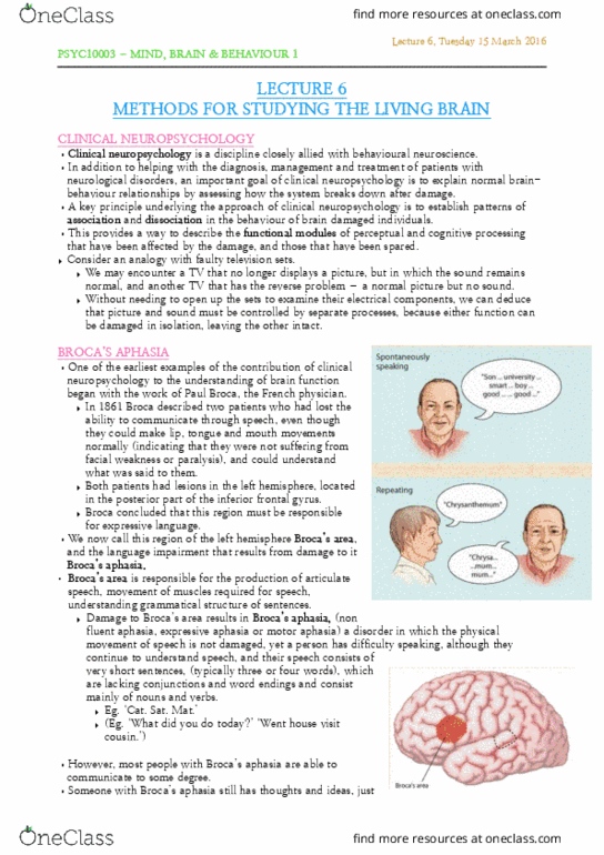 PSYC10003 Lecture Notes - Lecture 6: Inferior Frontal Gyrus, Paul Broca, Clinical Neuropsychology thumbnail