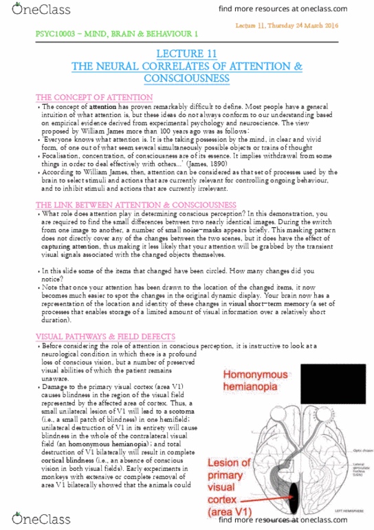 PSYC10003 Lecture Notes - Lecture 11: Homonymous Hemianopsia, Cortical Blindness, Visual Cortex thumbnail