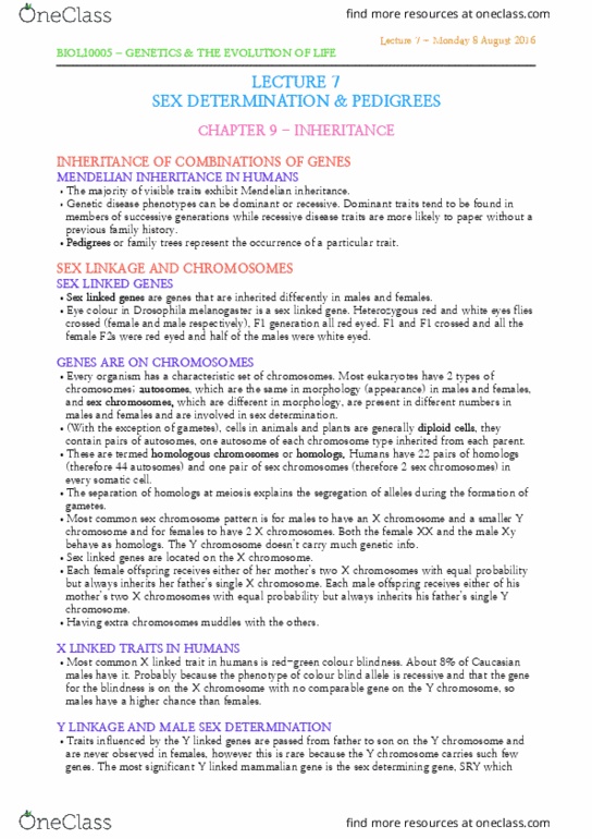 BIOL10005 Lecture Notes - Lecture 7: Mendelian Inheritance, Y Chromosome, Chromosome Segregation thumbnail