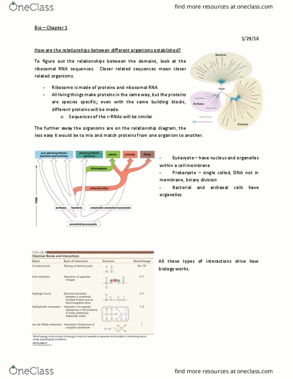 document preview image