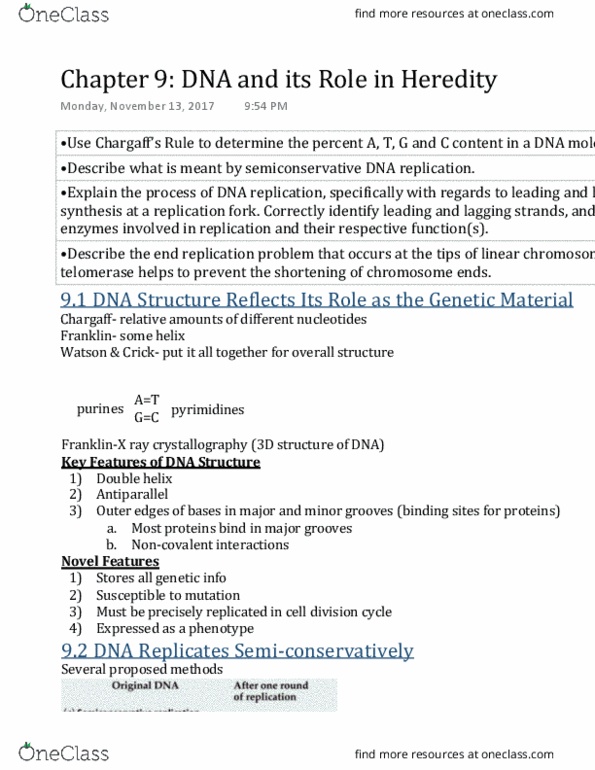 AS.020.151 Chapter Notes - Chapter 9: Dna Replication, Nucleic Acid Double Helix, Semiconservative Replication thumbnail