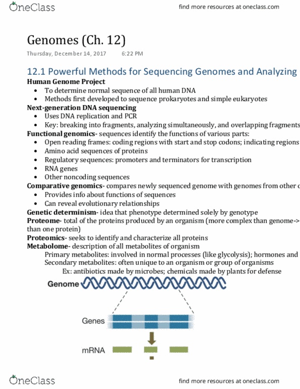 AS.020.151 Chapter Notes - Chapter 12: Human Genome Project, Metabolome, Comparative Genomics thumbnail