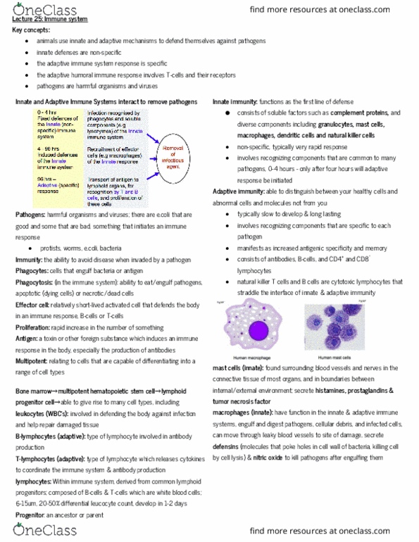 BIOL10002 Lecture Notes - Lecture 25: Adaptive Immune System, Cytotoxic T Cell, Natural Killer Cell thumbnail