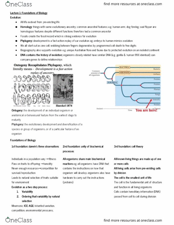 BIOL10002 Lecture Notes - Lecture 1: Ontogeny, Biogeography, Mnemonic thumbnail