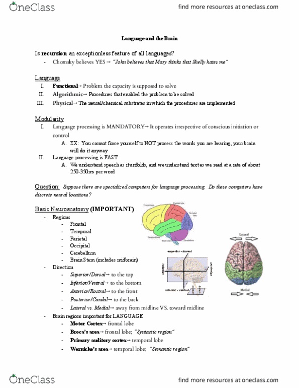COGSCI 200 Lecture 3: LEC 3_ Language and the Brain thumbnail