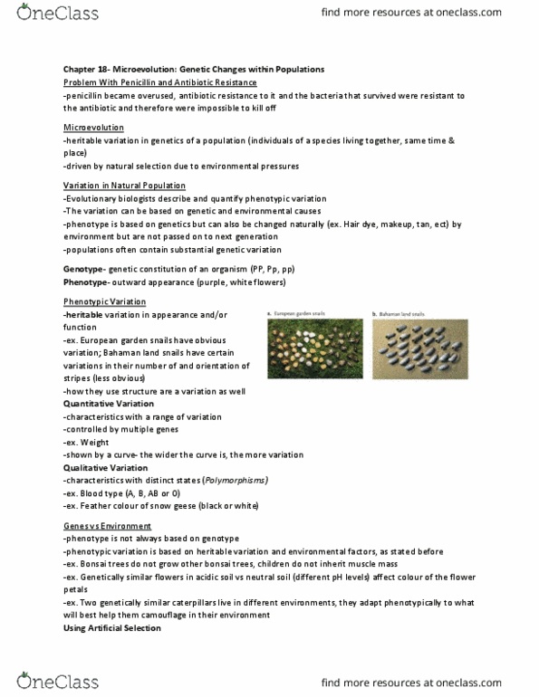 BIOL 1111 Lecture Notes - Lecture 2: Bonsai, Snow Goose, Antimicrobial Resistance thumbnail