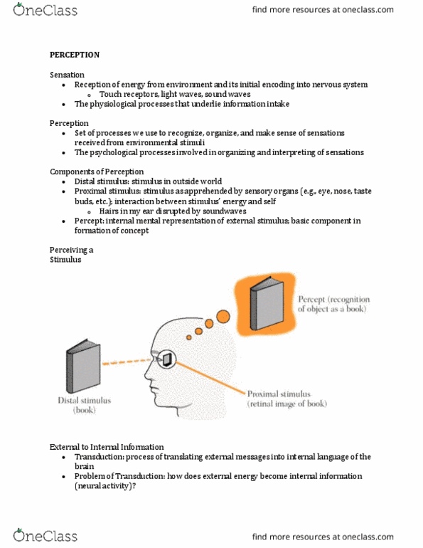 PSYC 256 Lecture Notes - Lecture 5: Categorical Logic, Afterimage, Neural Adaptation thumbnail