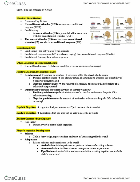 A PSY 203 Lecture 5: The Emergence of Action thumbnail