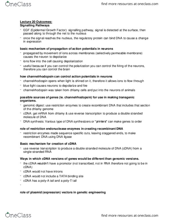 Biology 1002B Lecture Notes - Lecture 10: Restriction Enzyme, Channelrhodopsin, Dna Ligase thumbnail