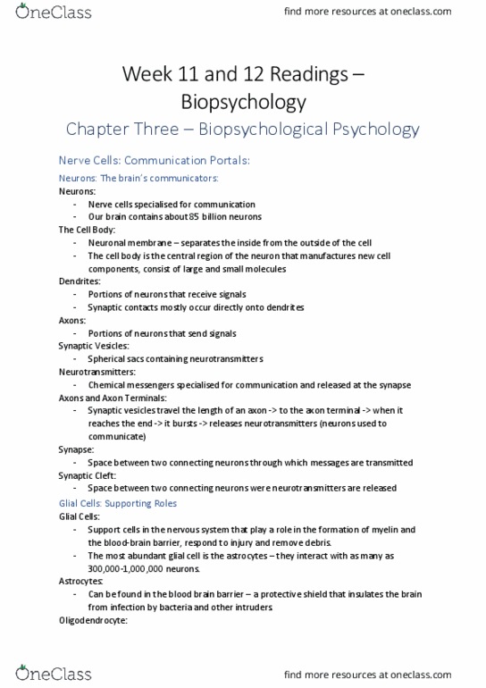 PSYC104 Chapter Notes - Chapter 3: Synaptic Vesicle, Axon Terminal, Behavioral Neuroscience thumbnail