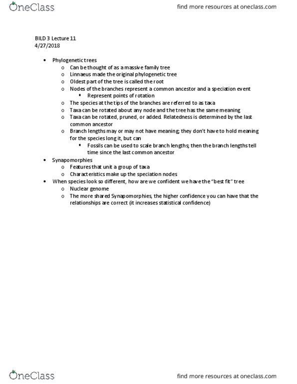 BILD 3 Lecture Notes - Lecture 11: Synapomorphy, Bild, Carl Linnaeus thumbnail