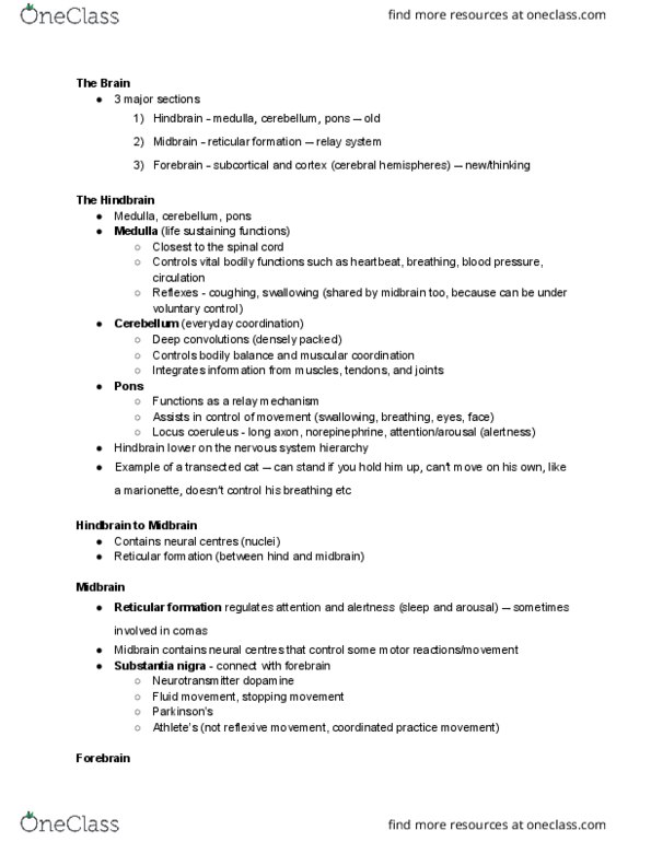 PS101 Lecture Notes - Lecture 10: Substantia Nigra, Locus Coeruleus, Reticular Formation thumbnail