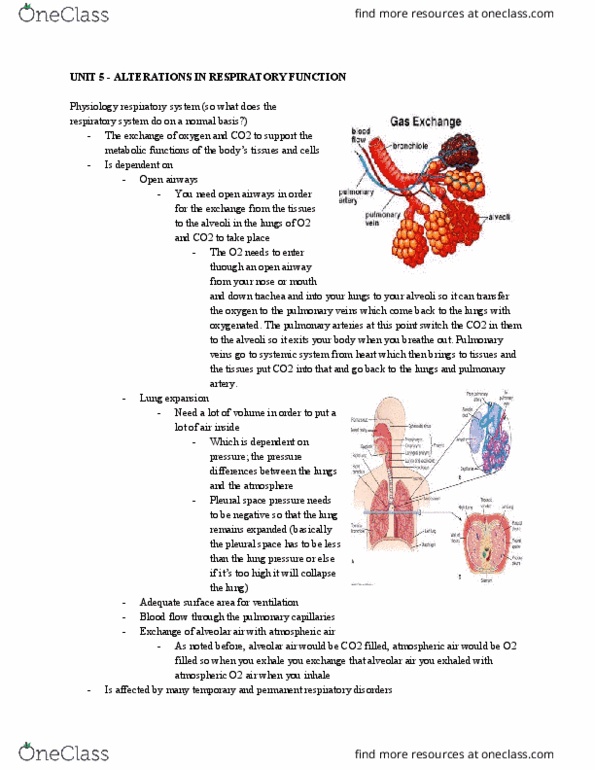 NURS113 Lecture Notes - Lecture 9: Airway Resistance, Pulmonary Artery, Rubber Band thumbnail