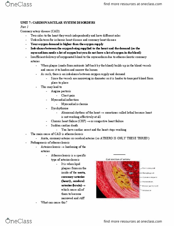 NURS113 Lecture 13: NURS113 - UNIT 7 thumbnail