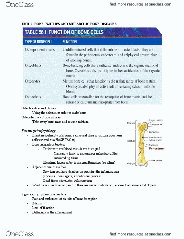 NURS113 Lecture Notes - Lecture 21: Vertebral Compression Fracture, Pathologic Fracture, Epiphyseal Plate thumbnail