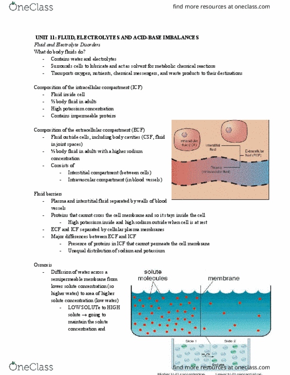 NURS113 Lecture Notes - Lecture 25: Semipermeable Membrane, Body Fluid, Electrolyte thumbnail