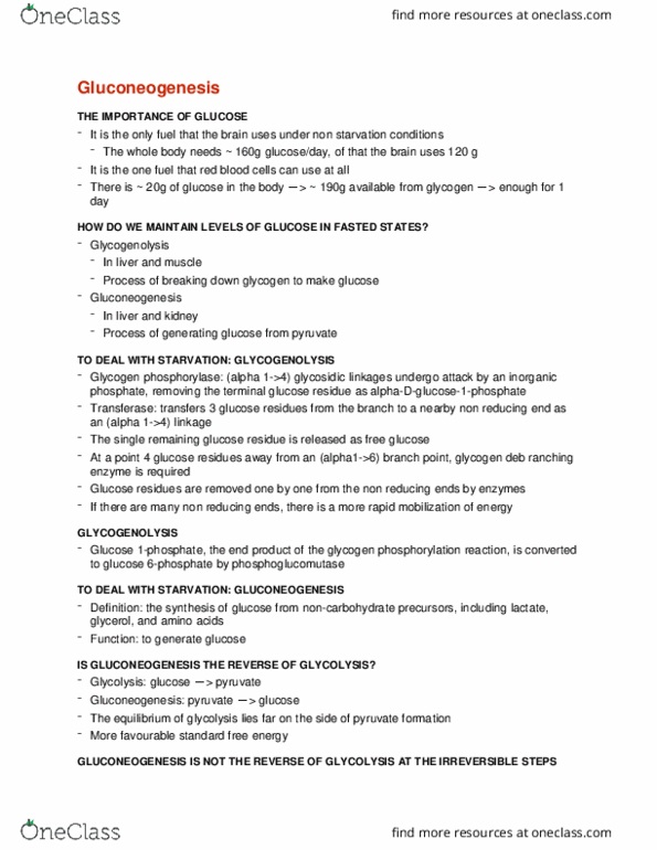 BCEM 393 Lecture Notes - Lecture 12: Glycogen Phosphorylase, Glycogenolysis, Phosphoglucomutase thumbnail