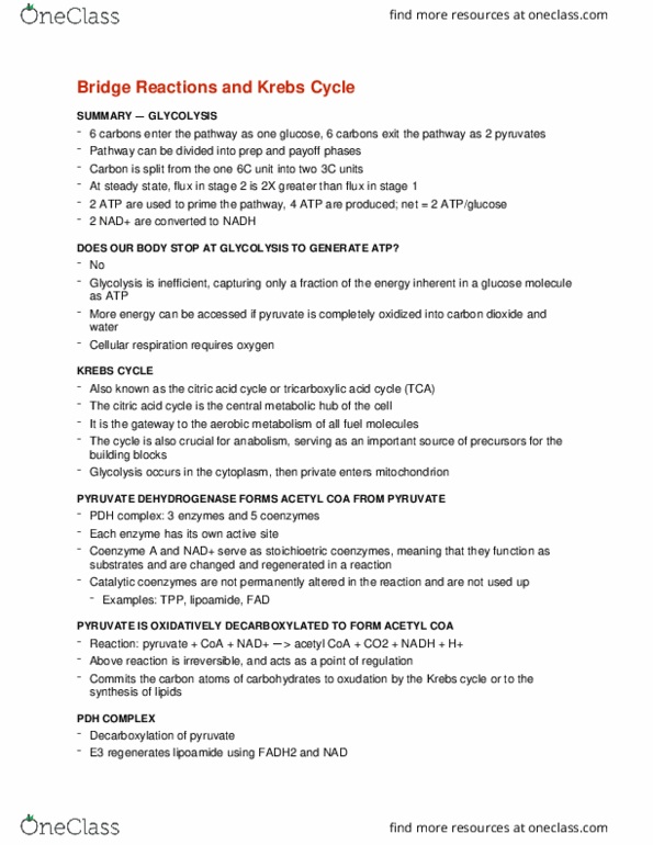 BCEM 393 Lecture Notes - Lecture 12: Dihydrolipoamide Dehydrogenase, Acetyl-Coa, Lipoamide thumbnail