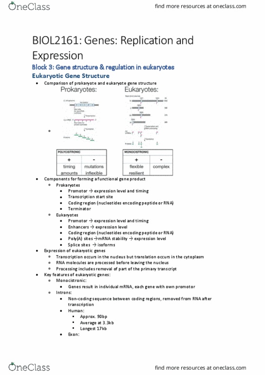 BIOL2161 Lecture Notes - Lecture 10: Coding Region, Exon, Prokaryote thumbnail