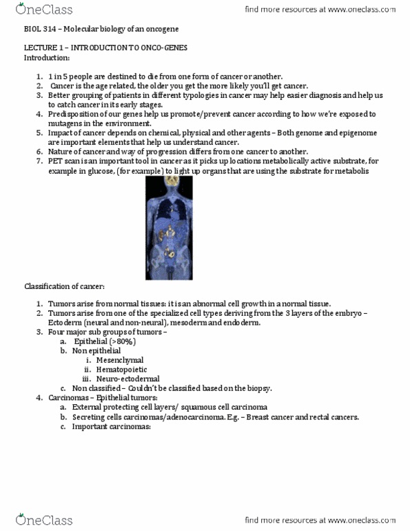 BIOL 314 Lecture Notes - Oncogene, Tumor Suppressor Gene, Stomach Cancer thumbnail