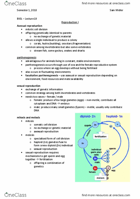 BIOL10004 Lecture Notes - Lecture 19: Asexual Reproduction, Egg Cell, Gamete thumbnail
