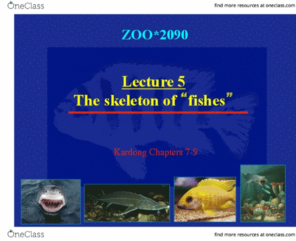 ZOO 2090 Lecture Notes - Lecture 5: Bothriolepis, Dermal Bone, Actinopterygii thumbnail