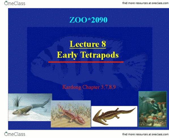 ZOO 2090 Lecture Notes - Lecture 8: Amniote, Osmoregulation, Devonian thumbnail