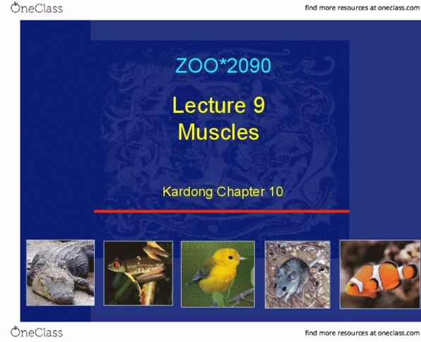 ZOO 2090 Lecture Notes - Lecture 9: Electric Eel, Skeletal Muscle, Stapes thumbnail