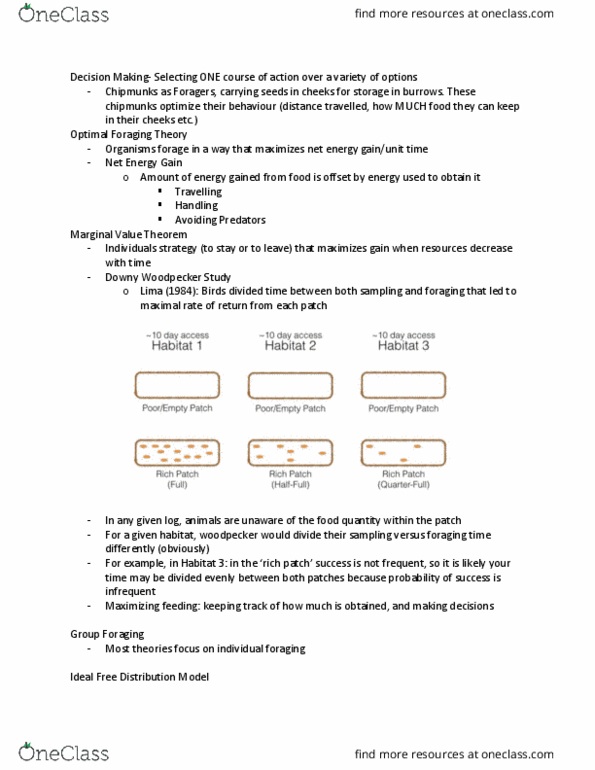 PSYC 205 Lecture Notes - Lecture 7: Optimal Foraging Theory, Downy Woodpecker, Cladocera thumbnail