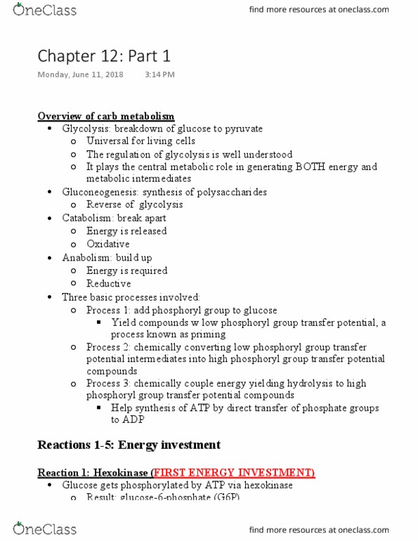 BCHM-3050 Lecture Notes - Lecture 11: Hexokinase, Glycolysis, Gluconeogenesis thumbnail